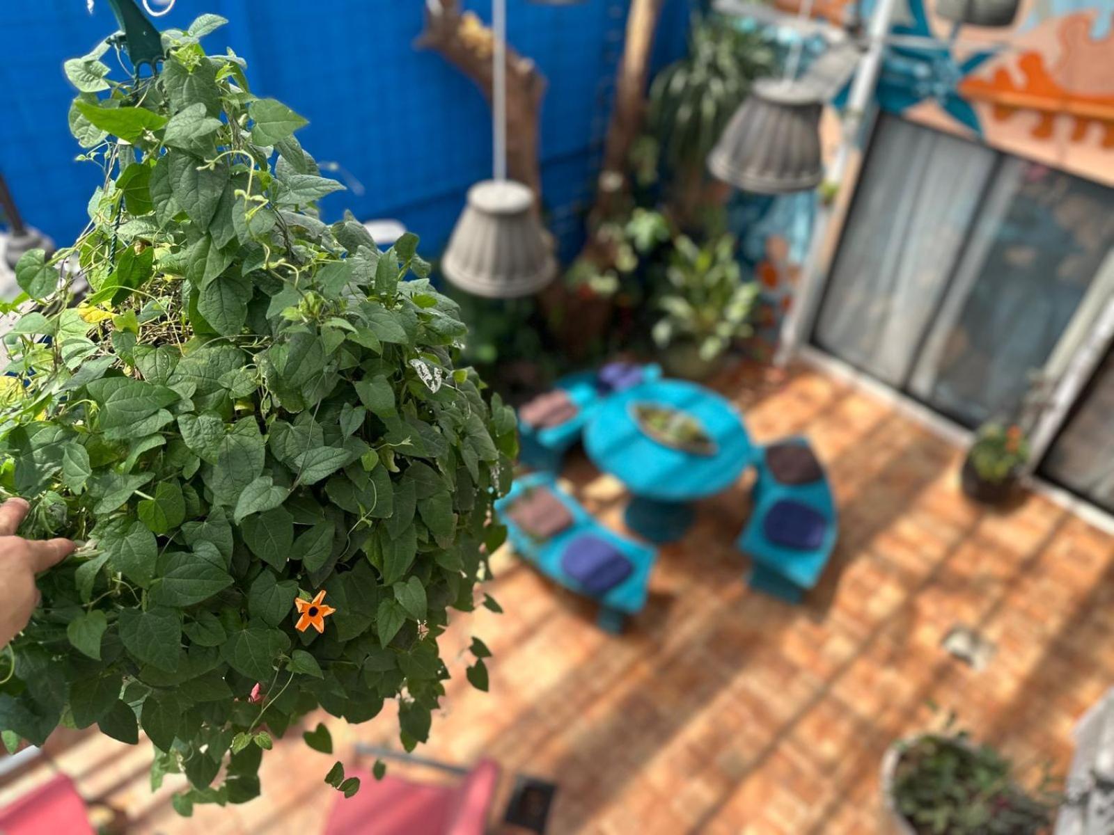 Jungla Urbana, Bnb Pavas Εξωτερικό φωτογραφία