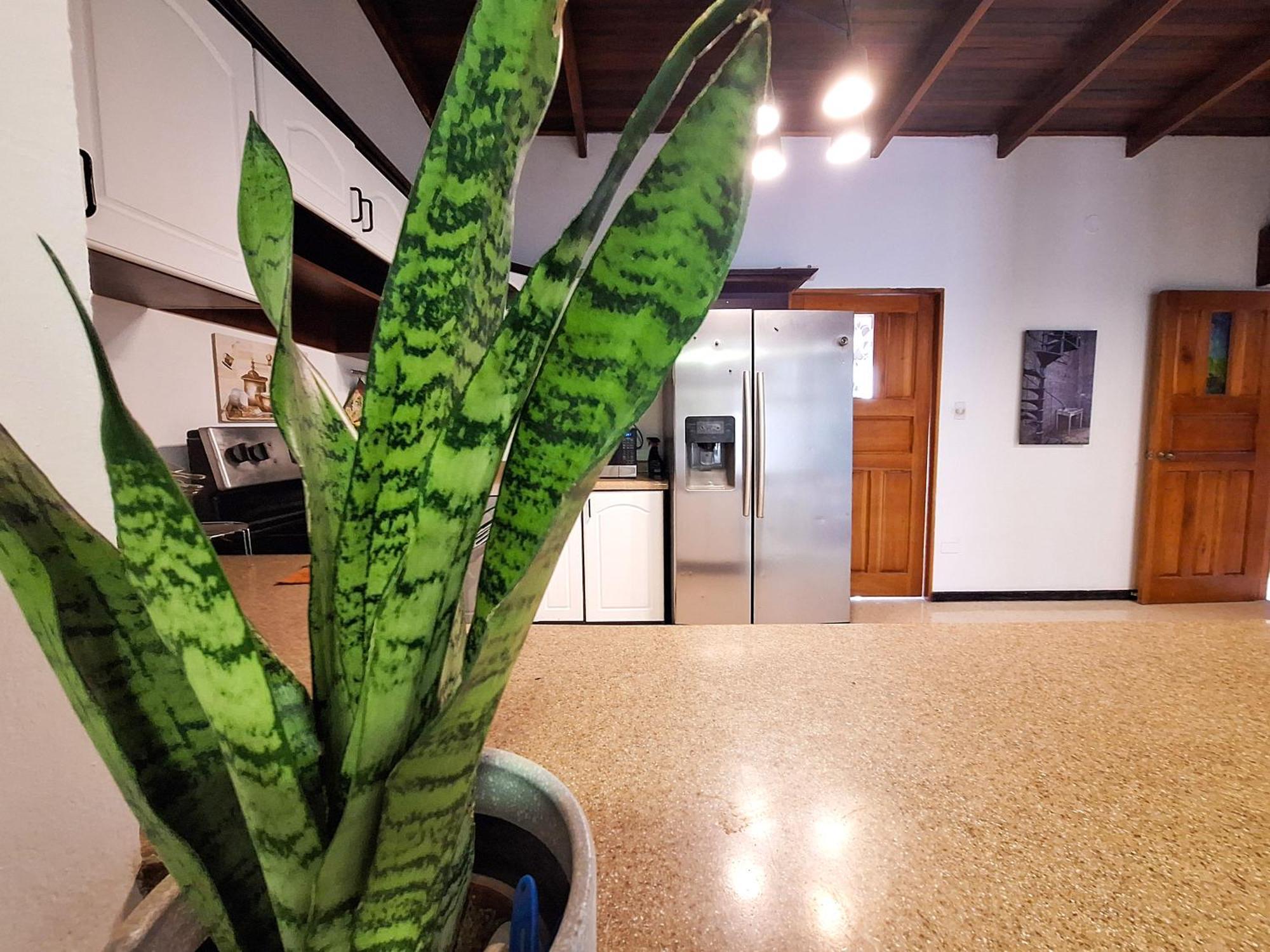 Jungla Urbana, Bnb Pavas Εξωτερικό φωτογραφία